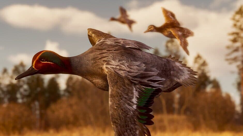 Bult: Hunting Simulator artwork 1