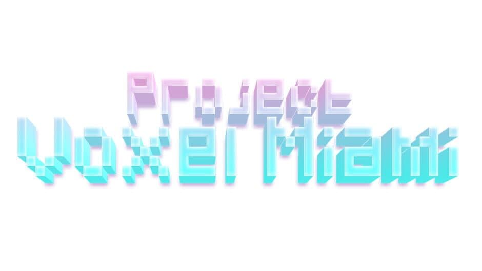 Project Voxel Miami artwork 2