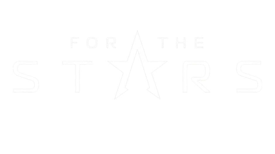For The Stars artwork 2