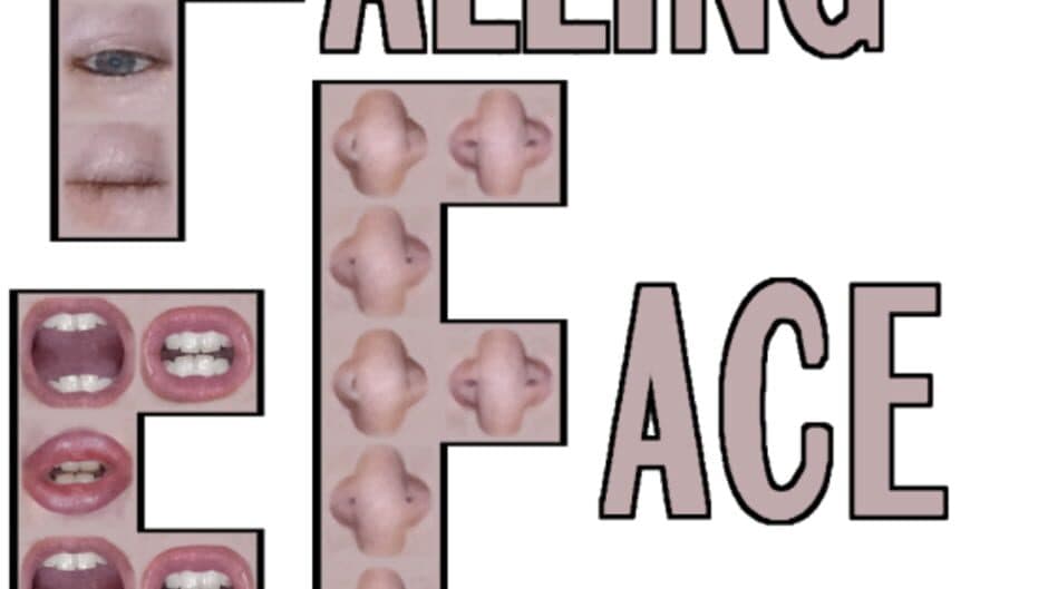 Falling Face Fragments artwork 2