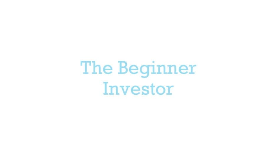 The Beginner Investor artwork 2