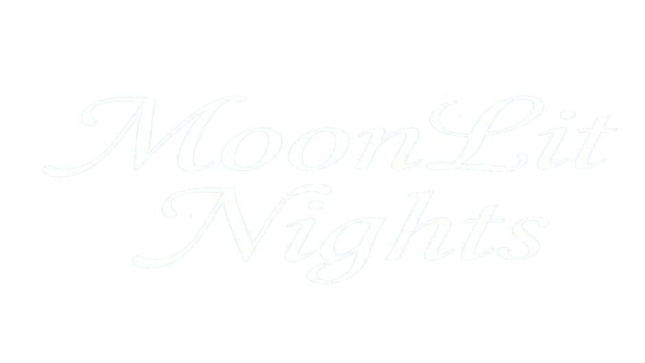 Moonlit Nights artwork 2