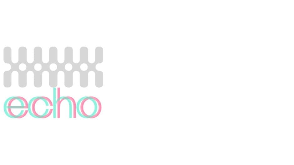 A Permanent Echo artwork 2