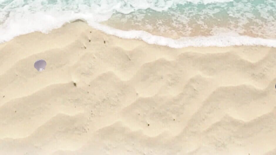 Beachcomber artwork 1