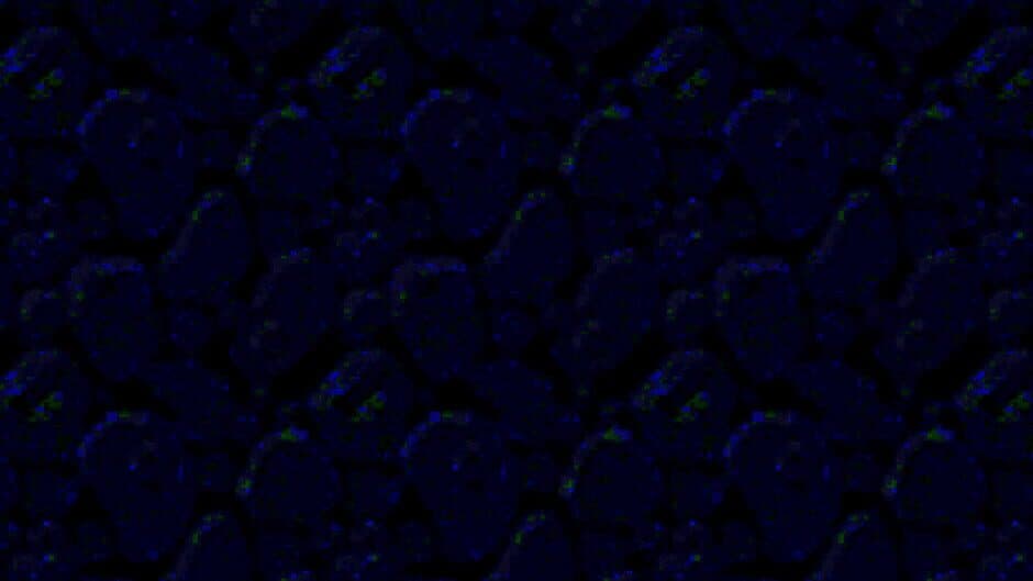 Chesst artwork 1