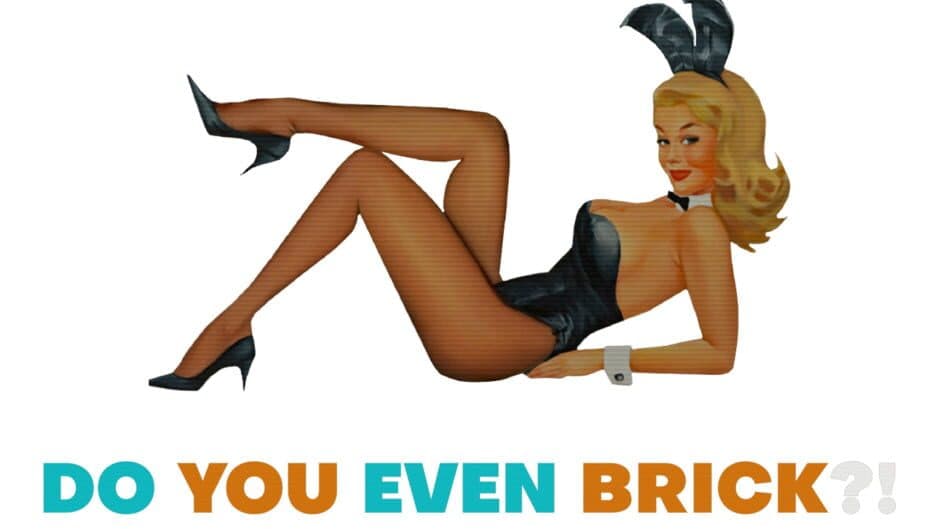 Do You Even Brick?! artwork 2