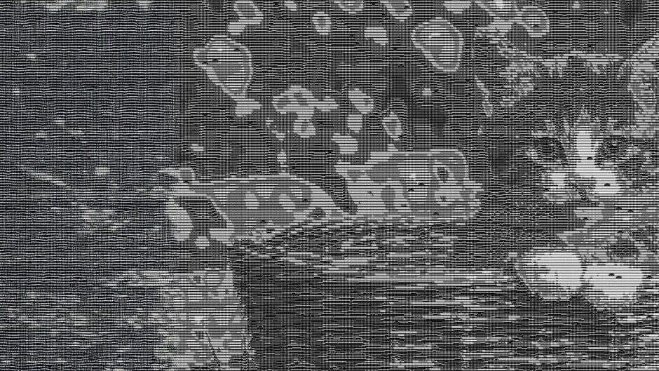 100 Hidden ASCII Cats artwork 1