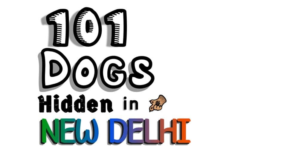 101 Dogs Hidden in New Delhi artwork 2