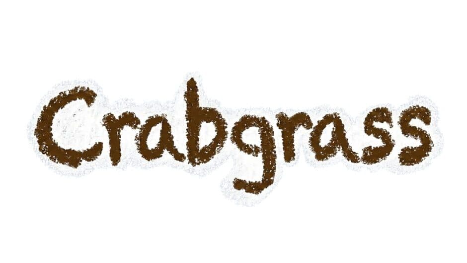 Crabgrass artwork 2