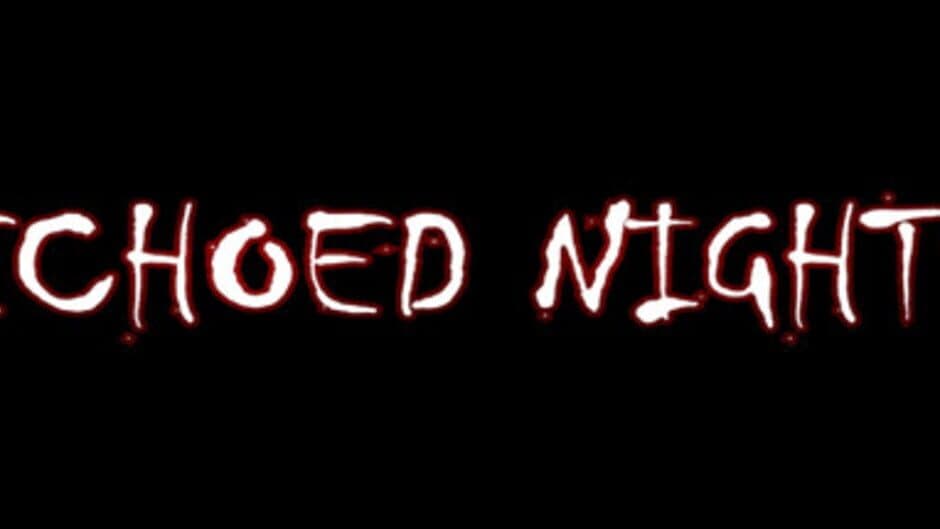 Echoed Nights artwork 1