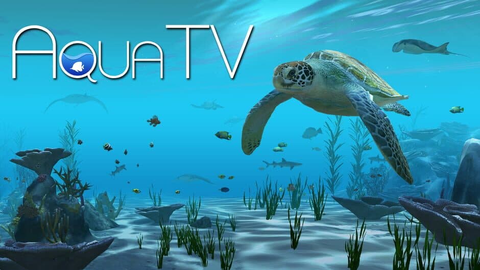Aqua TV artwork 1
