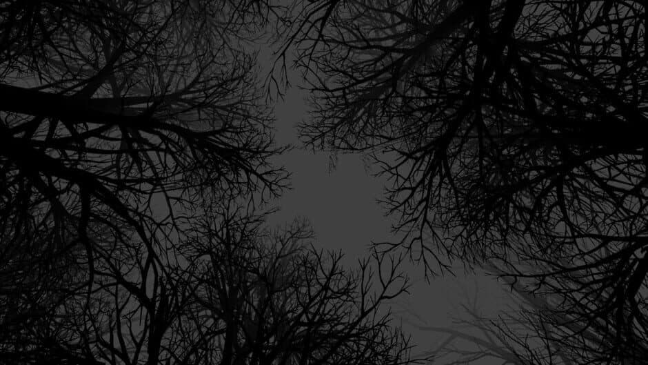 Witch Hunt artwork 1