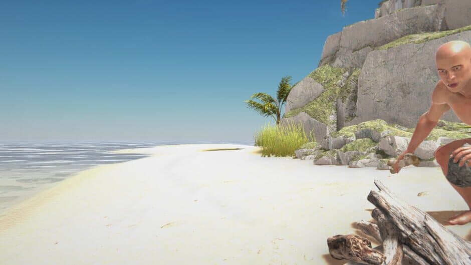 Hand Simulator: Survival artwork 1