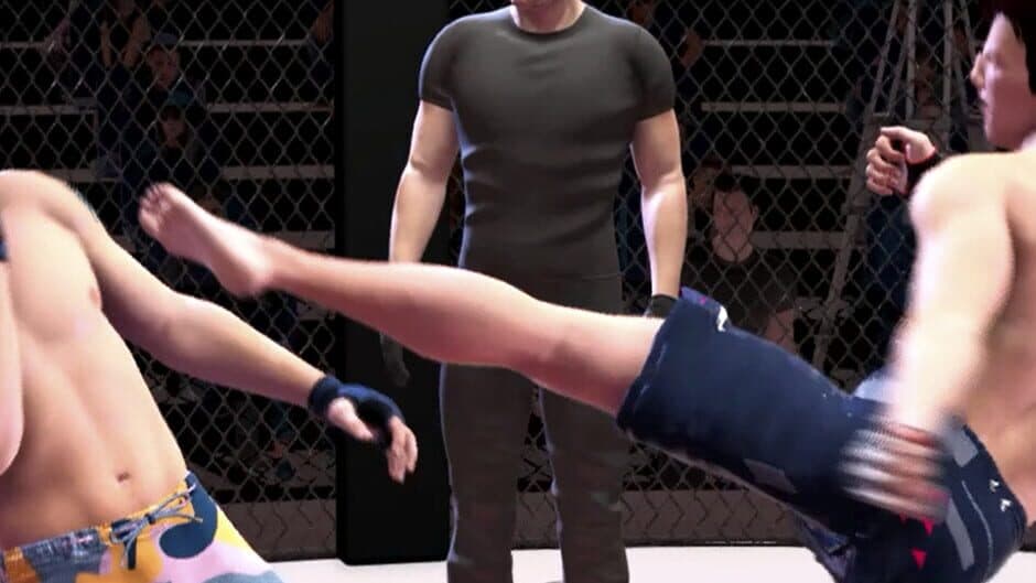 Ultimate MMA artwork 1