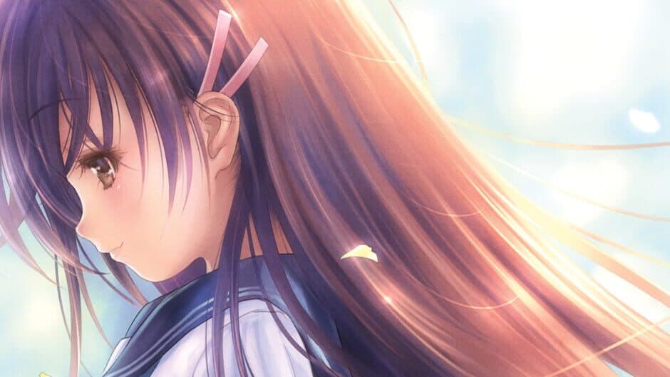Narcissu 10th Anniversary Anthology Project artwork 1