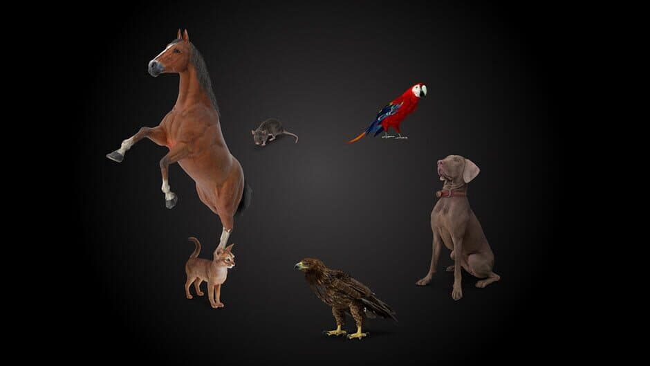Animal Trainer artwork 1
