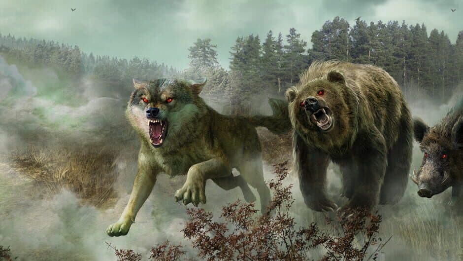 The Wild Case artwork 1