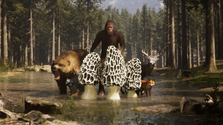 Morels: The Hunt artwork 1