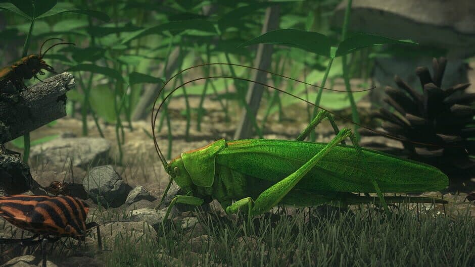 Insect Worlds artwork 1