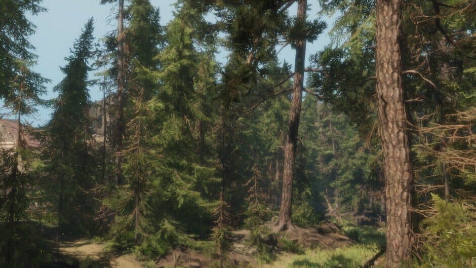A Walk in the Woods artwork 1