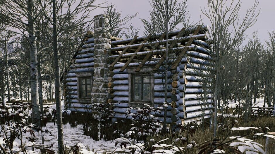 The Cold White artwork 1