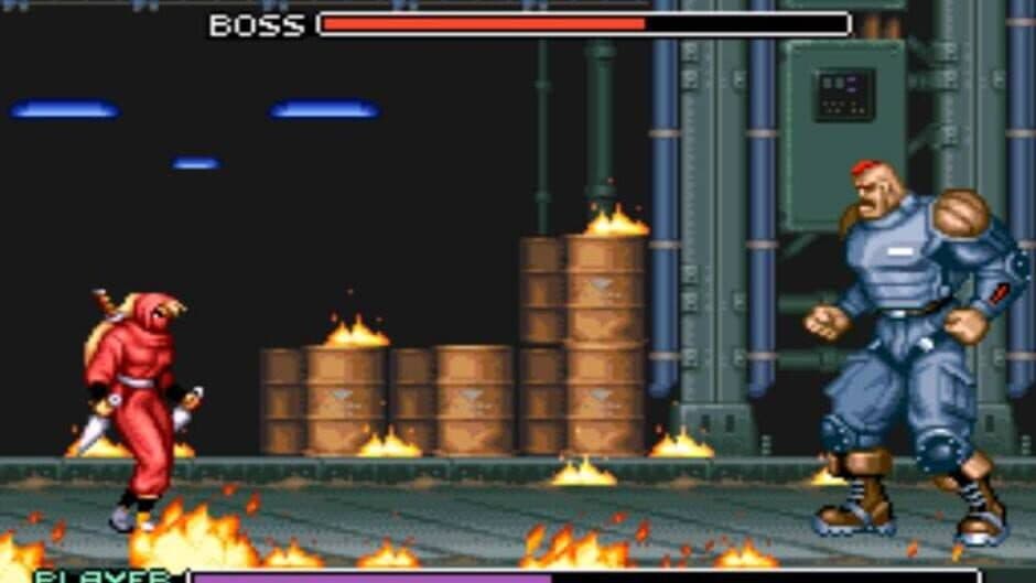Ninja Warriors screenshot 2