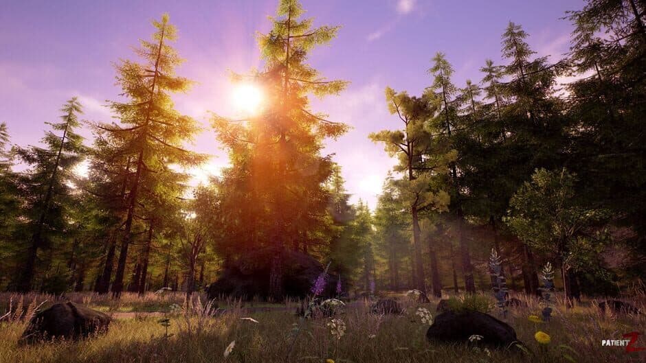 PatientZ: Survivalist screenshot 2