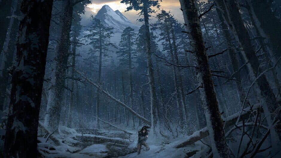 Rise of the Tomb Raider artwork 3