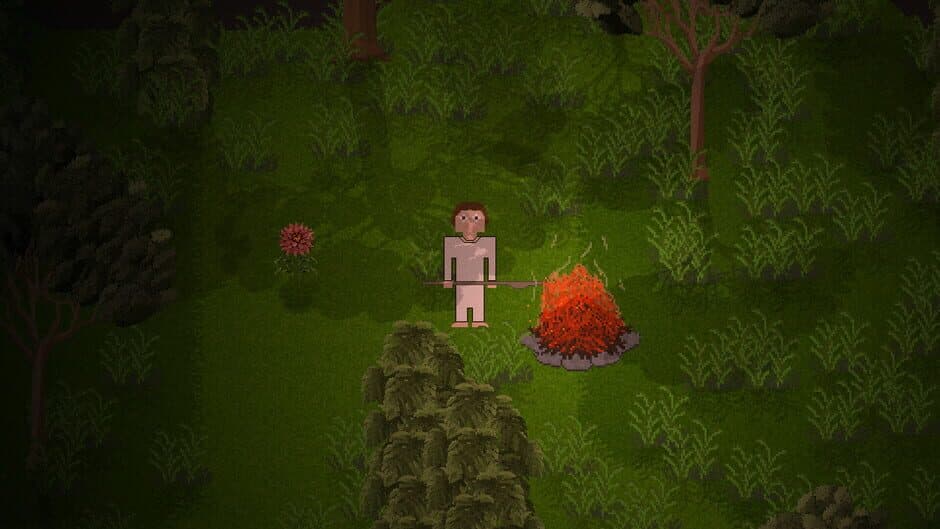 Nocturnal Sun screenshot 4