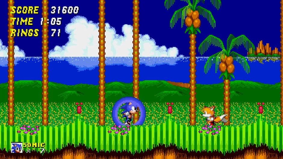 Sonic 2: Community's Cut screenshot 3
