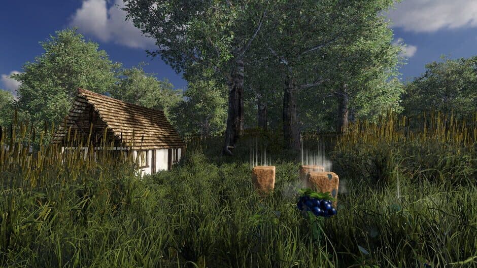 Otar Island screenshot 4