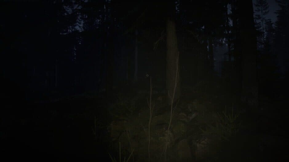 Veylora screenshot 1