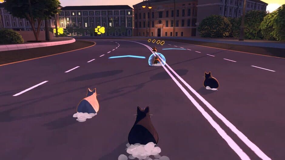 Catloaf Kart Racing screenshot 3