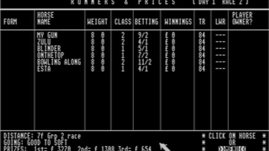 Horse Racing Simulator screenshot 4