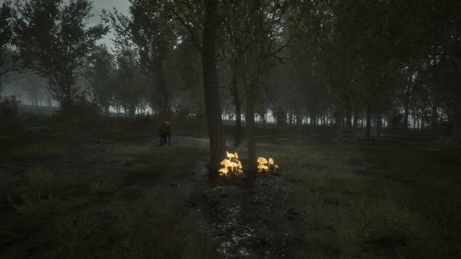 Junkyard File screenshot 4