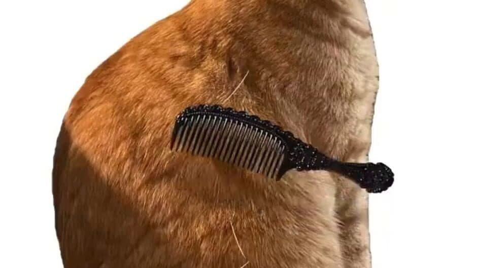 Brush Jjaemu screenshot 1