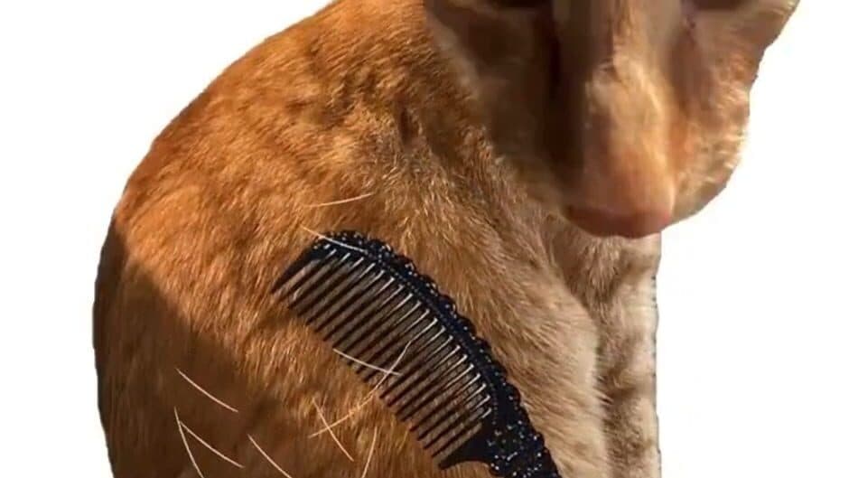 Brush Jjaemu screenshot 2