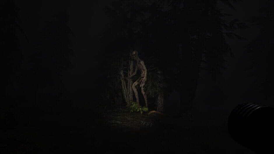Echoes of Sin: Confusion screenshot 2