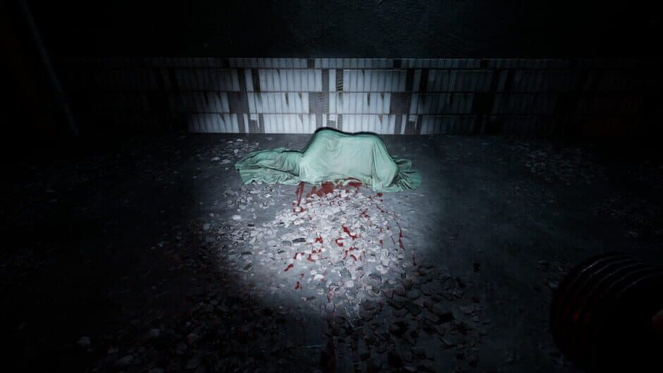 Echoes of Sin: Confusion screenshot 3