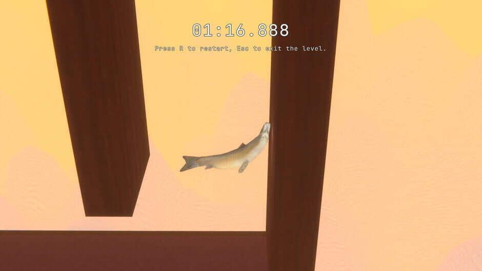 Salmon screenshot 1