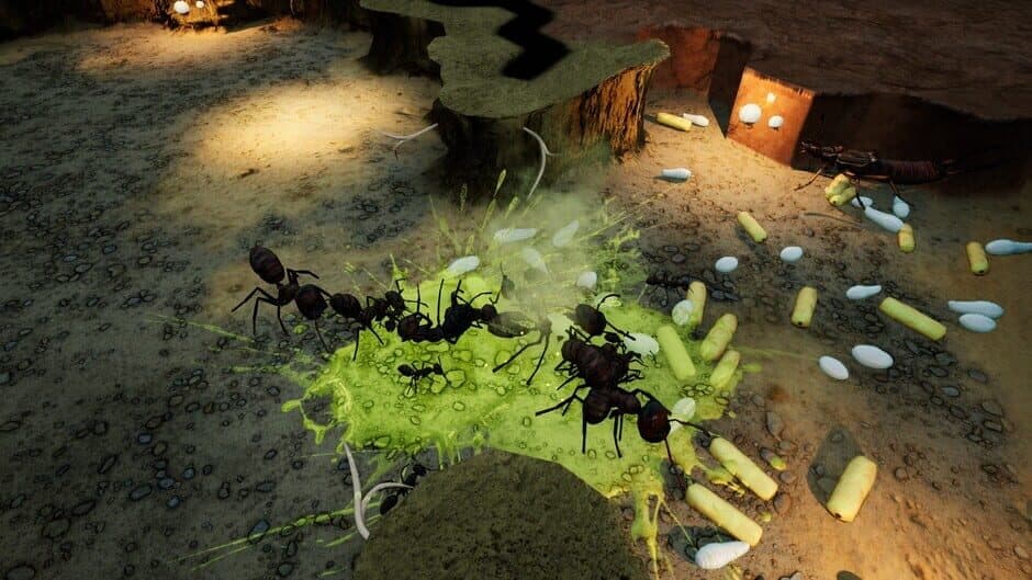 Empires of the Undergrowth: Exploding Ants screenshot 3