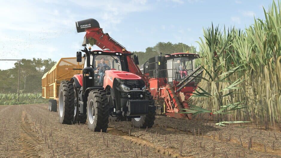 Farming Simulator 25: Beans & Alpacas Expansion screenshot 4