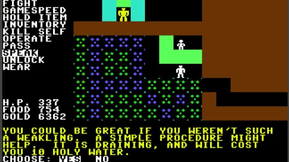 Questron screenshot 1