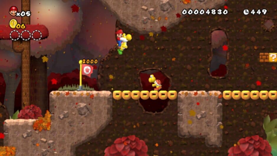 Newer Super Mario Bros. Wii screenshot 4