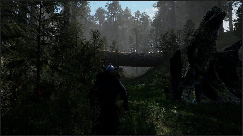 Einn screenshot 2