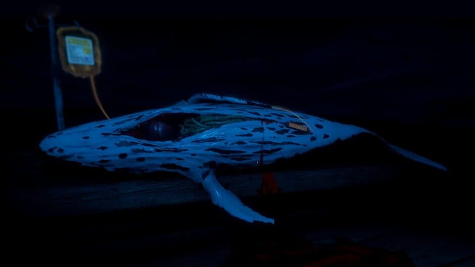 Zaam screenshot 3
