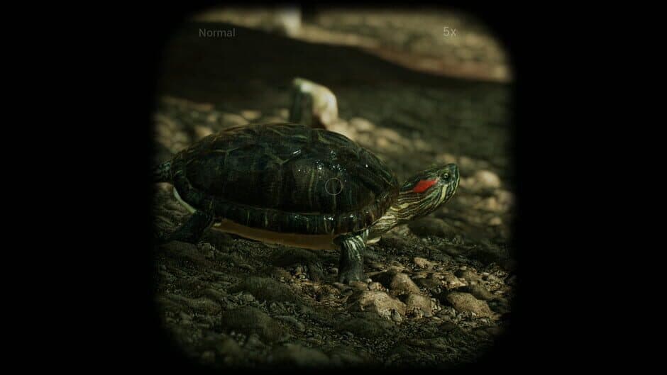 Morels: The Hunt screenshot 2