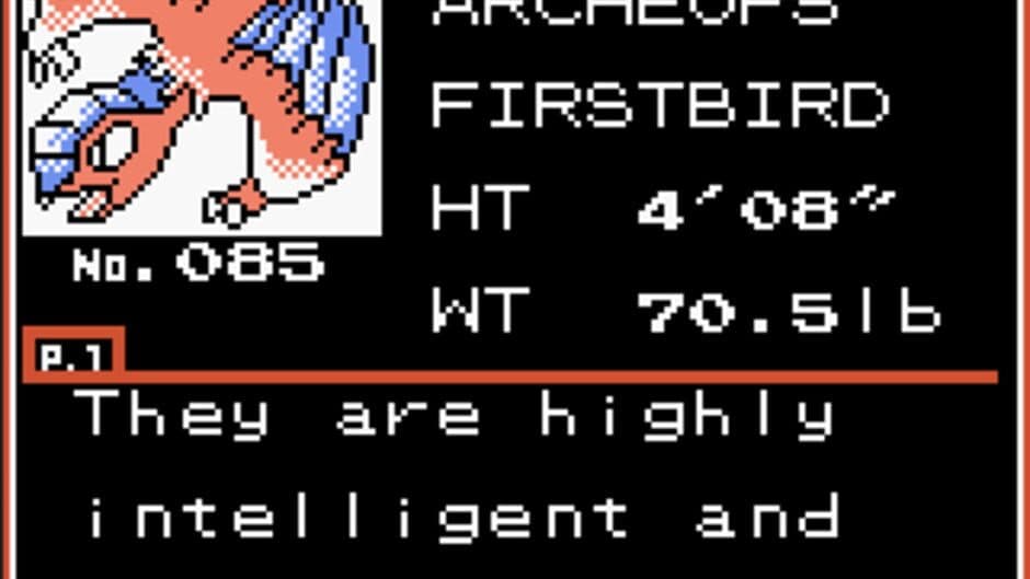 Pokémon Bronze screenshot 1