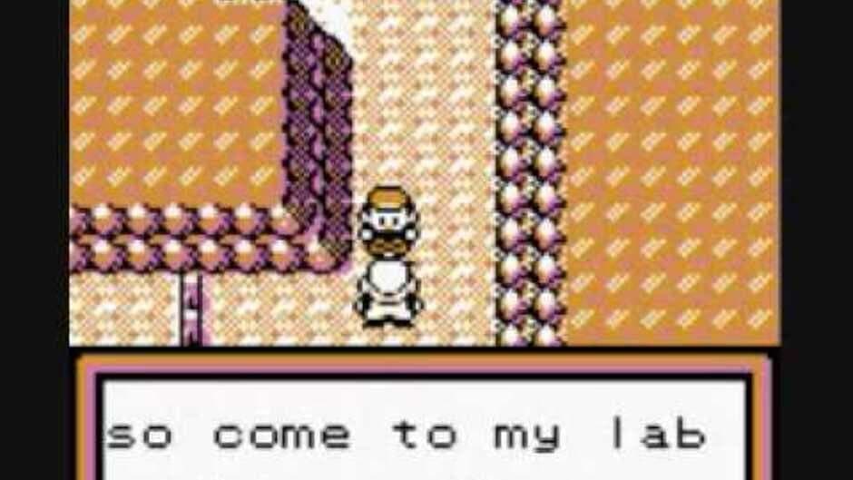 Pokémon Brown screenshot 3