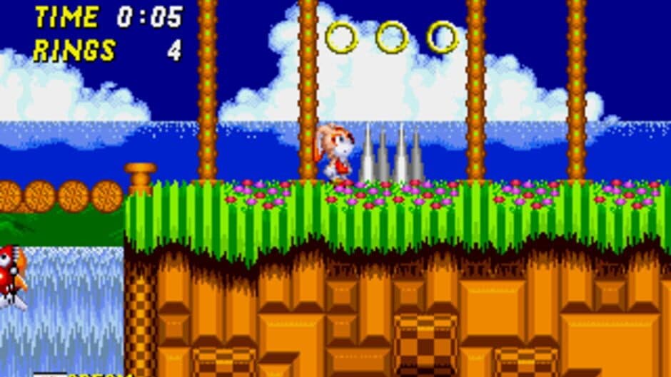 Sonic the Hedgehog 2: Pink Edition screenshot 2